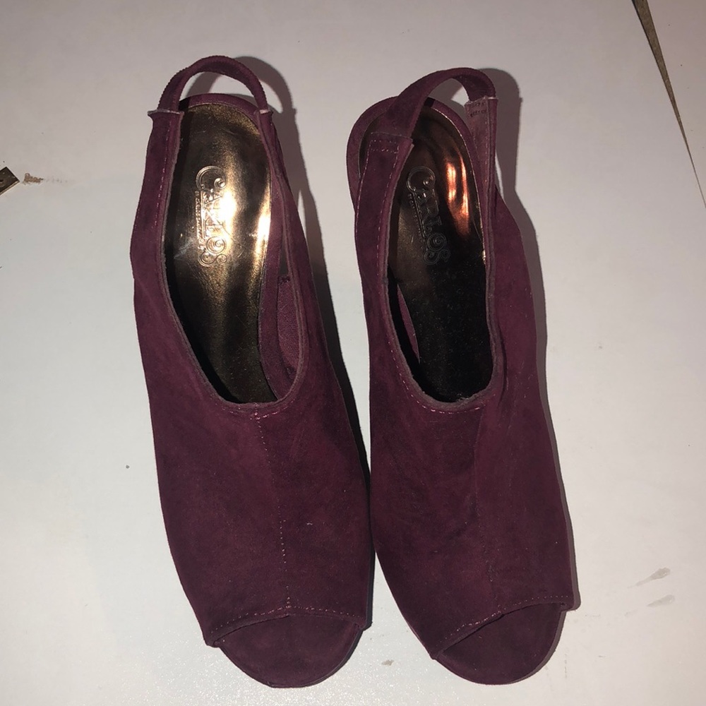 Carlos Wedges